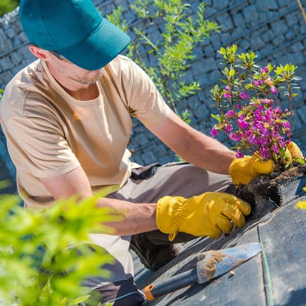 paysagiste haut de gamme paris au travail